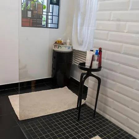 Apartment Haussmanien Angers